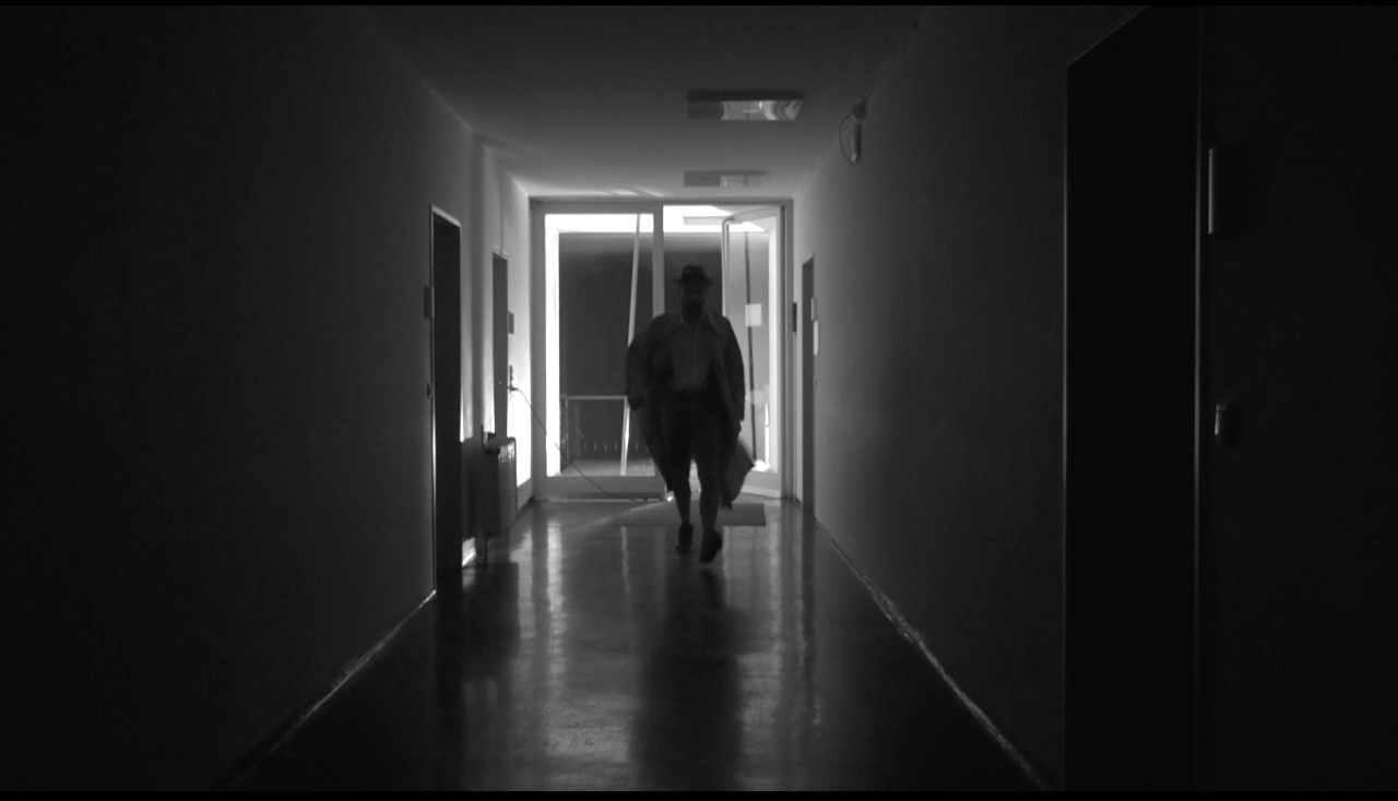 One Night Shoot